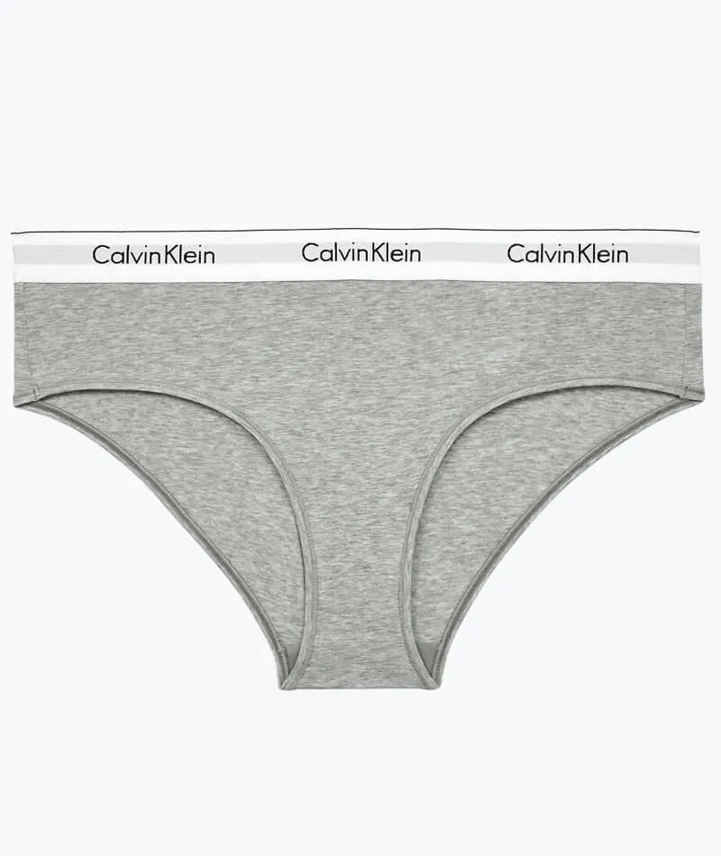 Calvin Klein Modern Cotton Plus Hipster Brief - Grey Heather