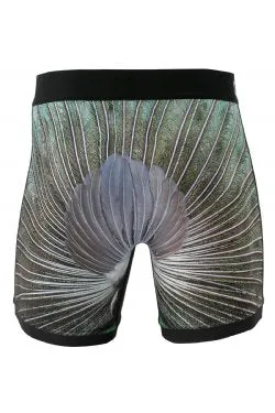 Cinch - 6" Peacock Boxer Brief | Mxy6009016