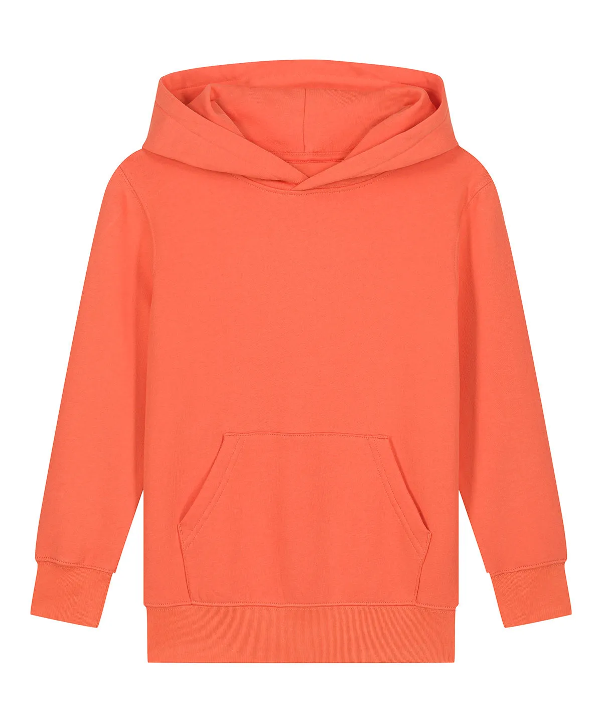 Fiesta - Kids Mini Cruiser 2.0 iconic hoodie sweatshirt (STSK180)