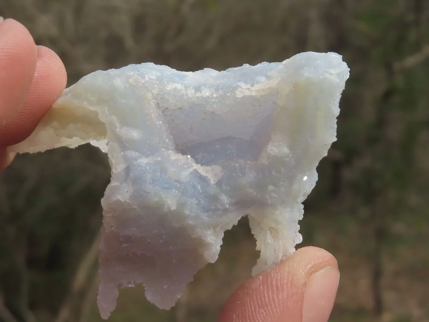 Natural Etched Blue Chalcedony Specimens x 35 From Nsanje, Malawi