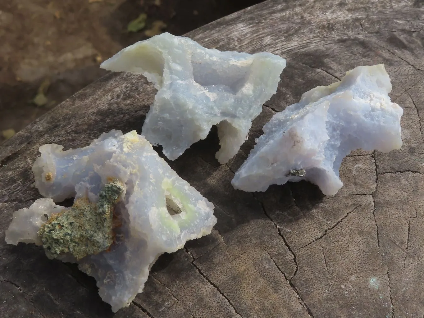 Natural Etched Blue Chalcedony Specimens x 35 From Nsanje, Malawi