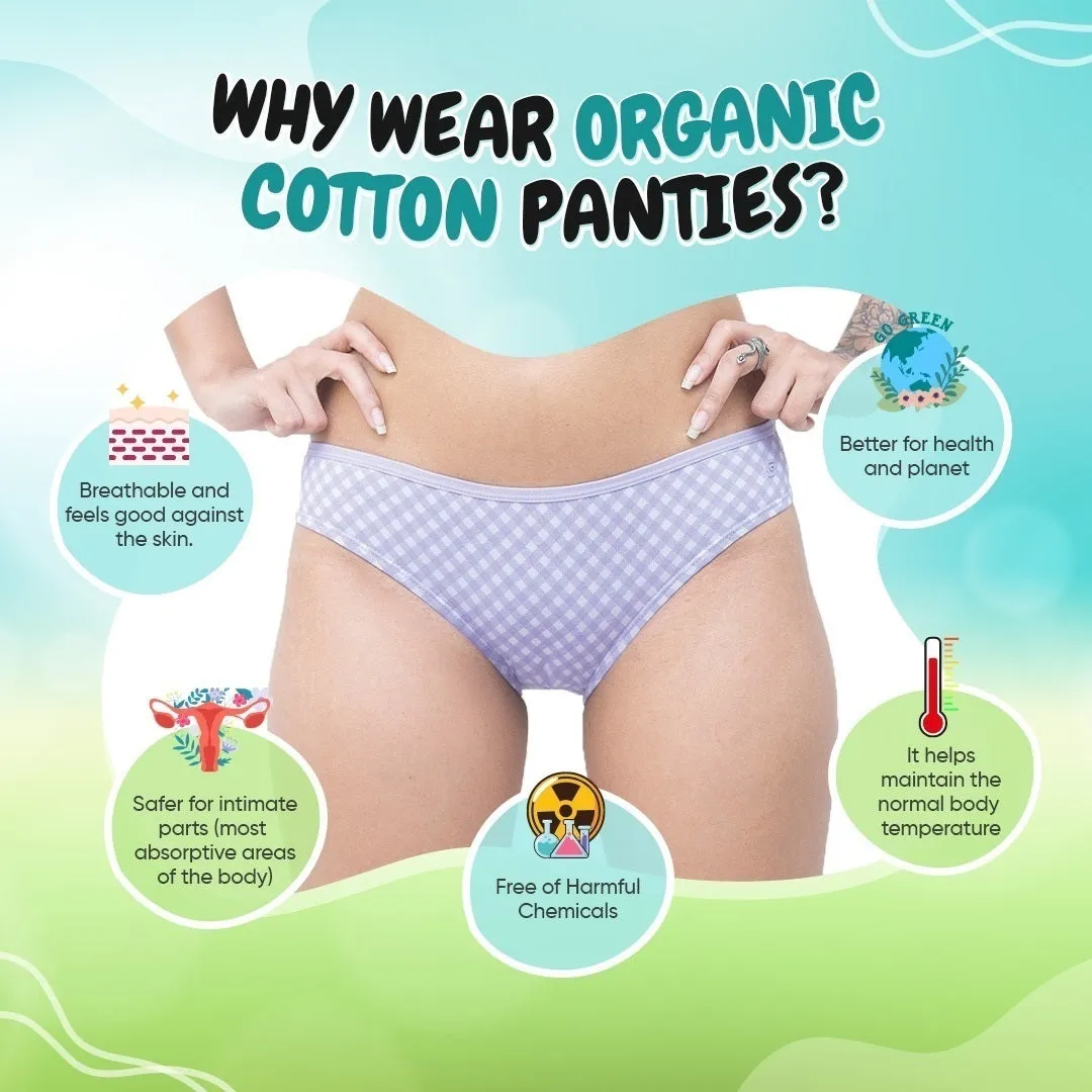 Organic Everyday Undies Lavender Checks (Bikini) (3pc)