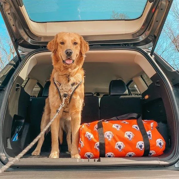 Original Pet Pop Art Duffel Bag