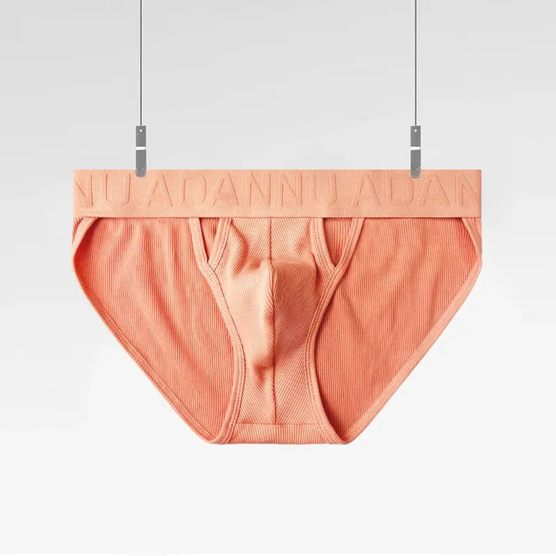 SIESTA Super Briefs